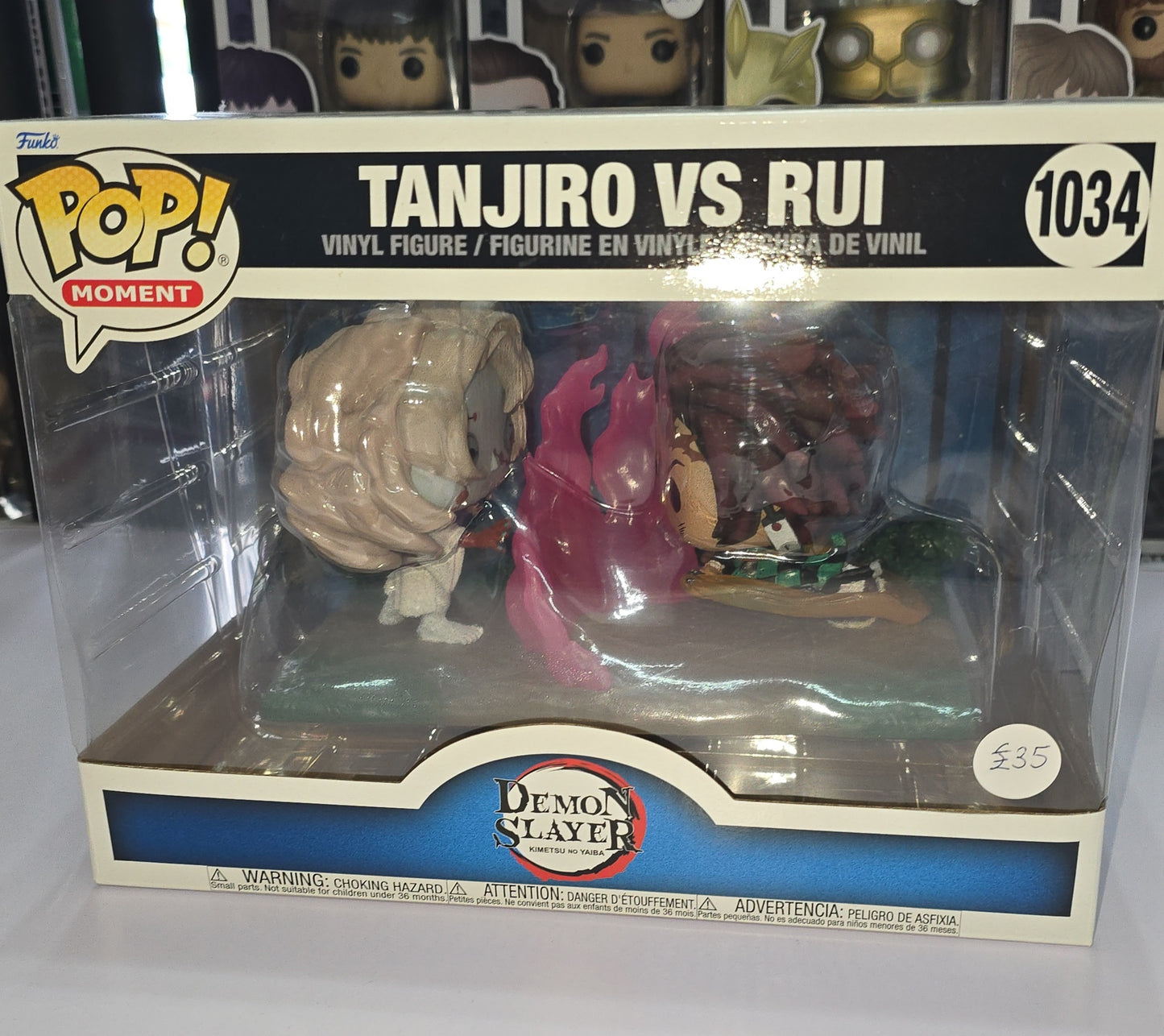 Demon Slayer - Tanjiro Vs Rui #1034