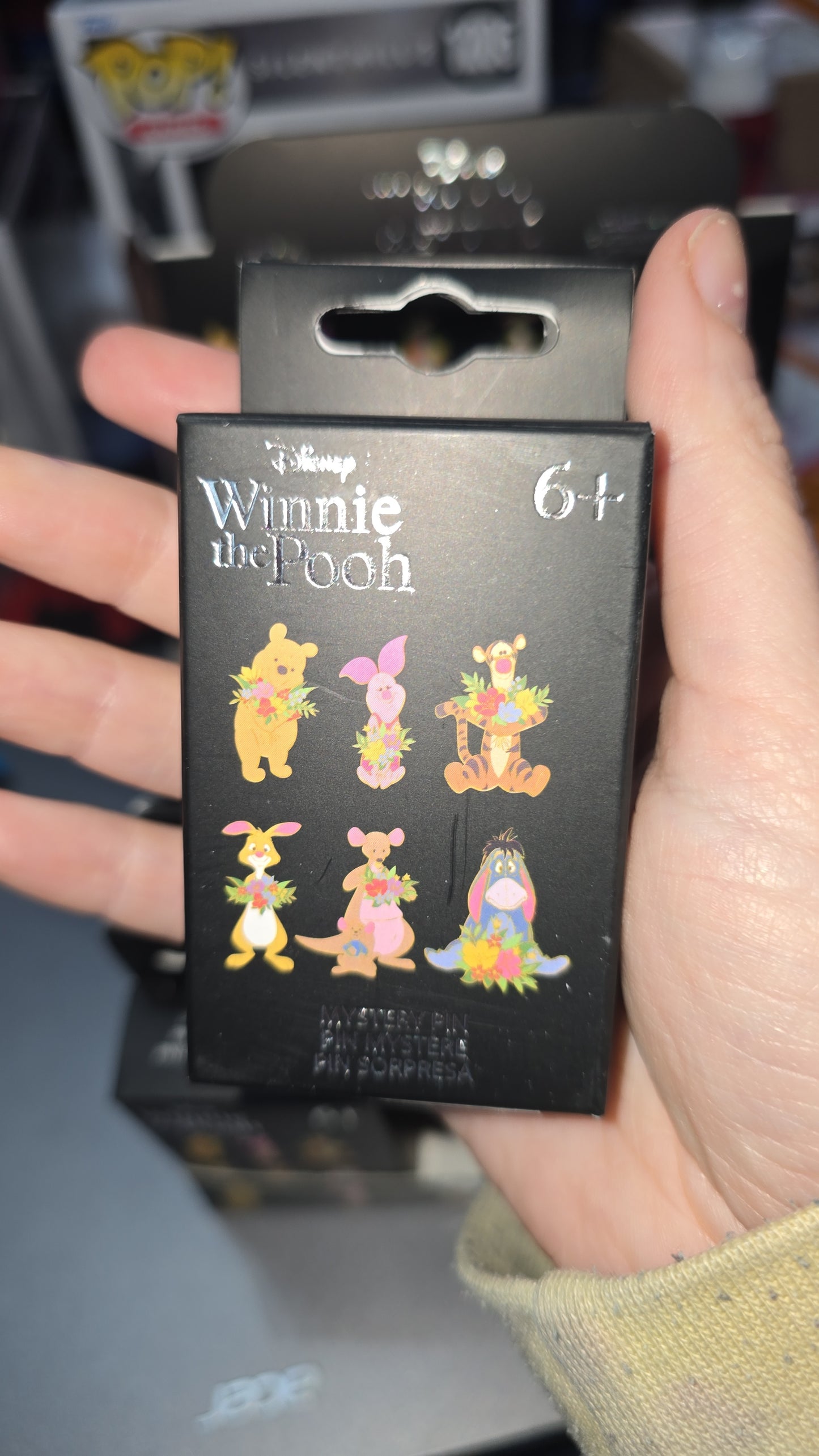 Loungefly Blind Box Pins - Winnie The Pooh