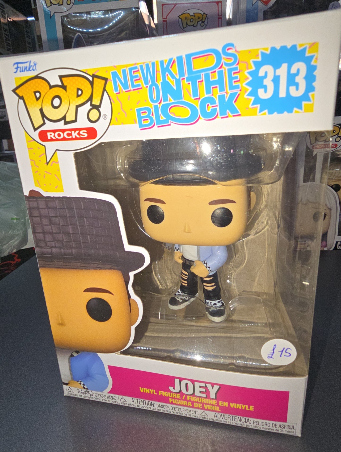 New Kids on the Block - Joey #313