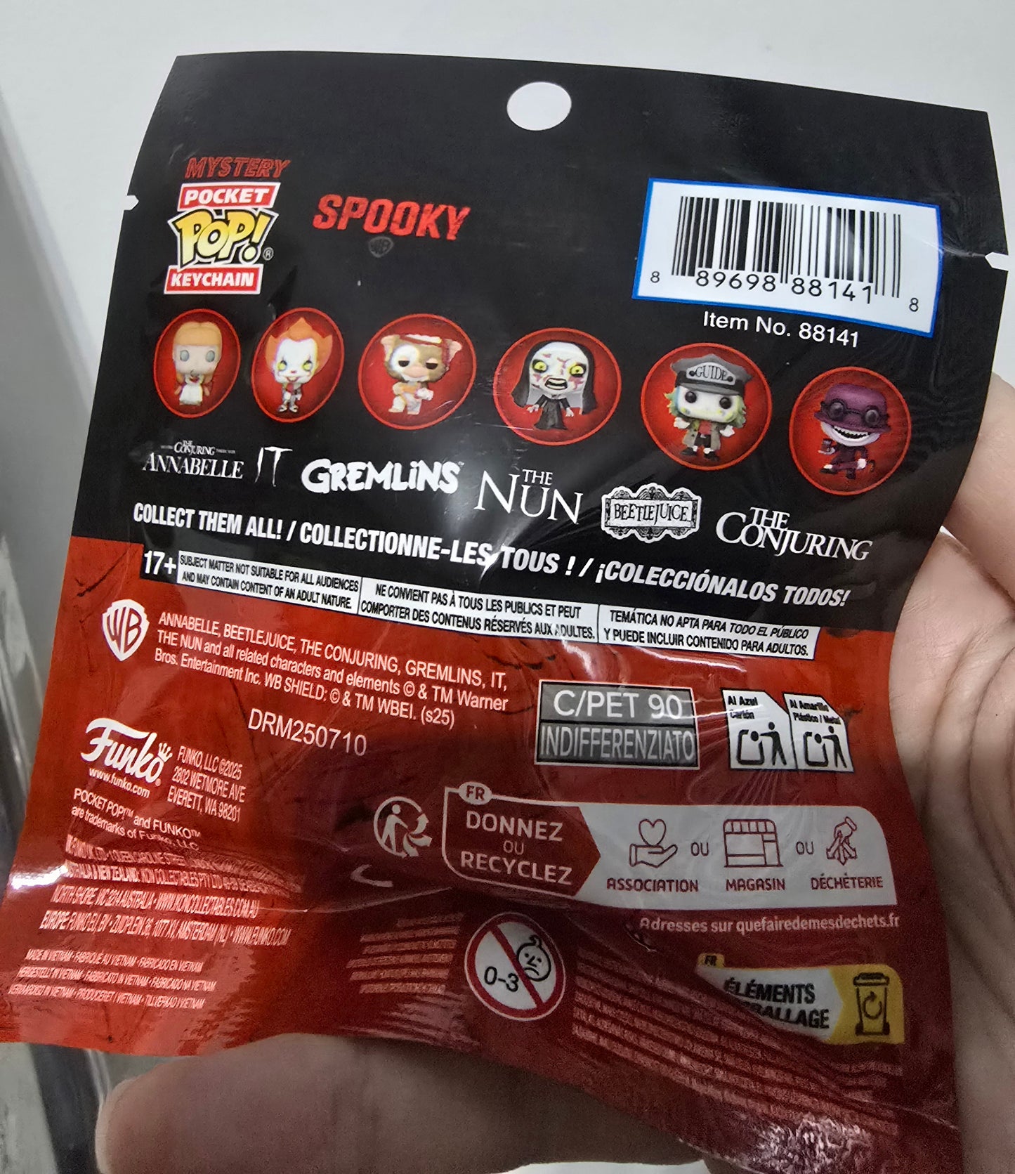 Spooky Mystery Pocket Pop Keychain