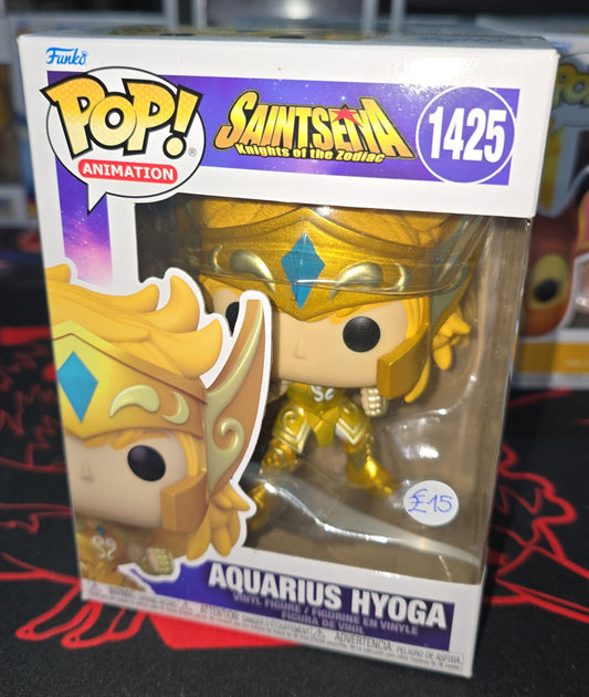 SaintSeiya - Aquarius Hyoga #1425