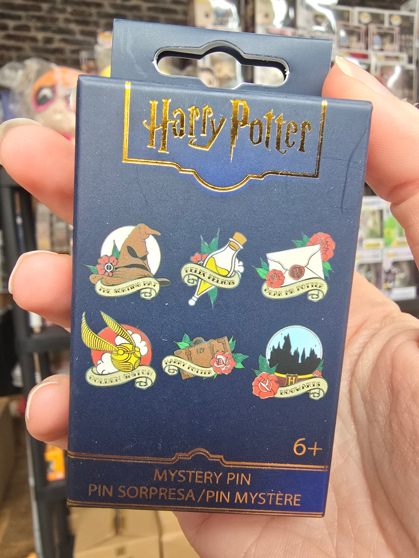 Loungefly Harry Potter Mystery Pin