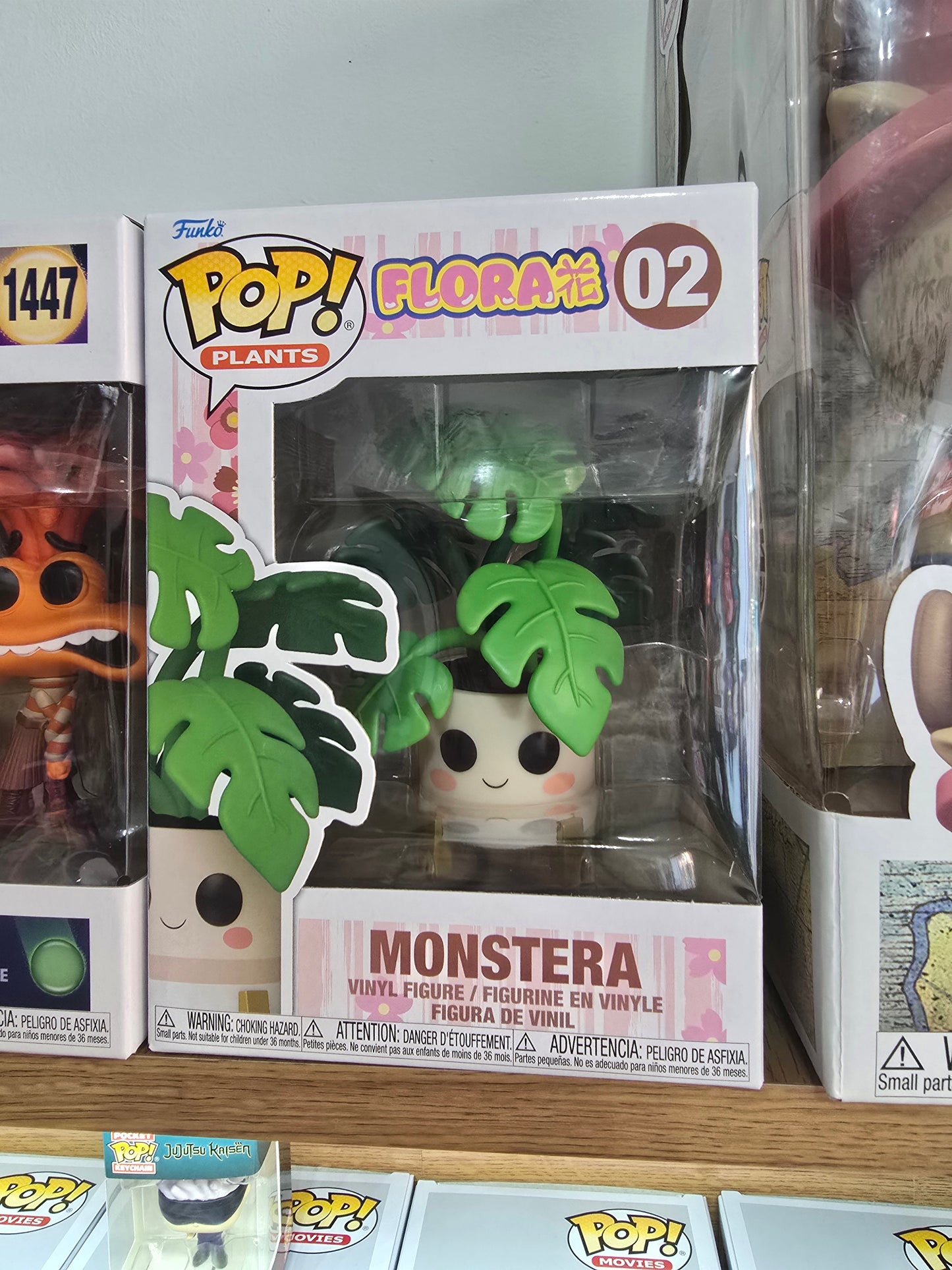 Flora - Monstera #02