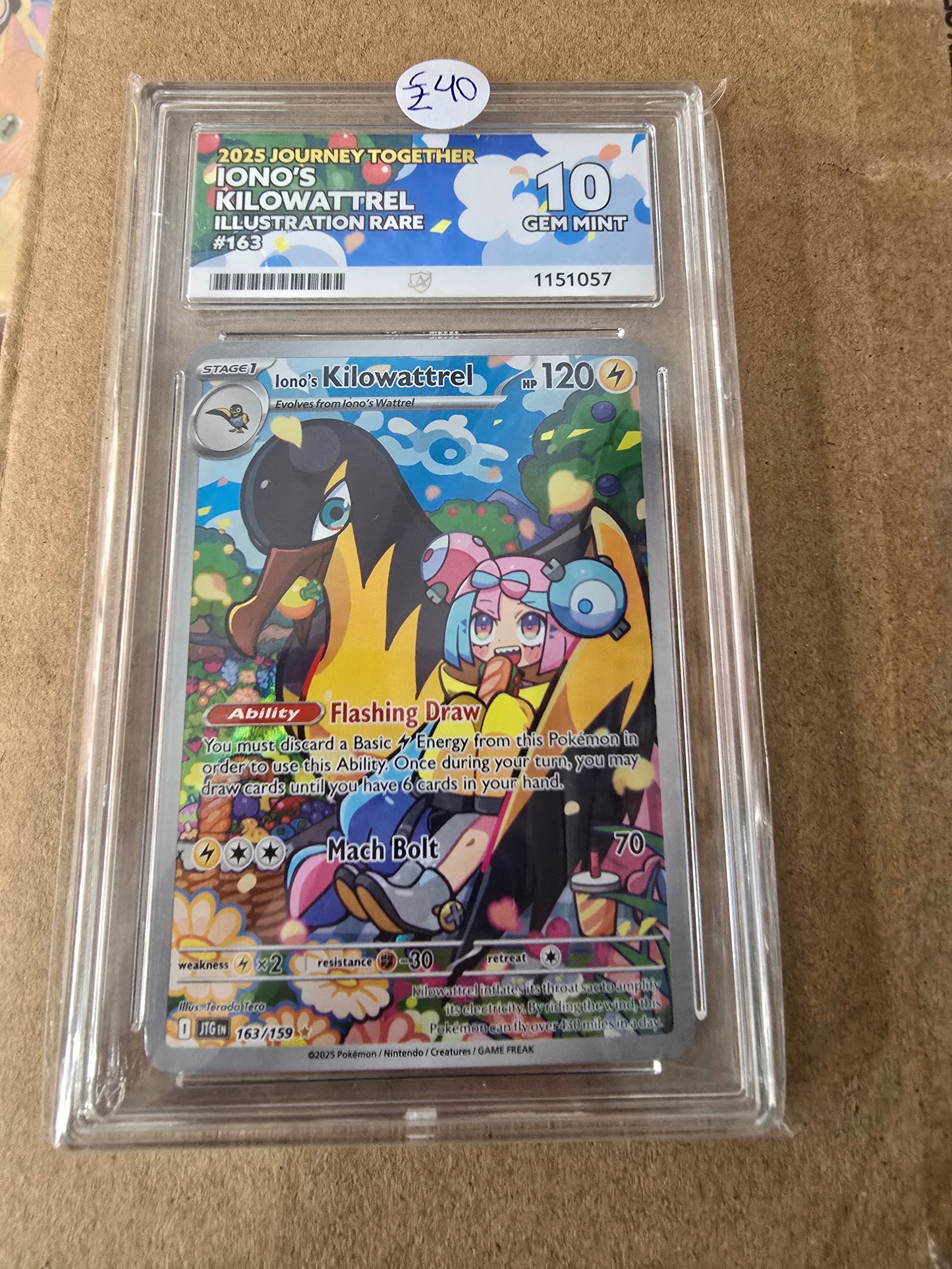 Iono's Kilowattrel #163 10 GEM MINT - Pokémon ACE Graded Card