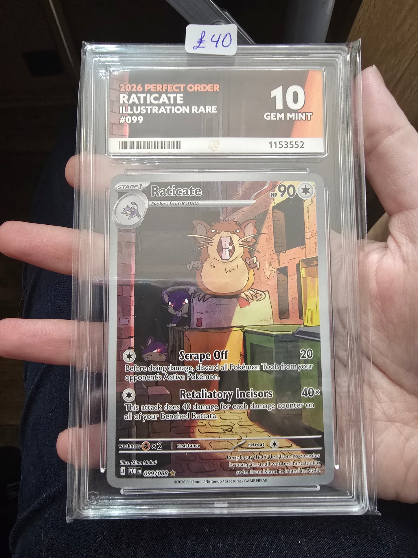 Raticate #099 10 GEM MINT - Pokémon ACE Graded Card