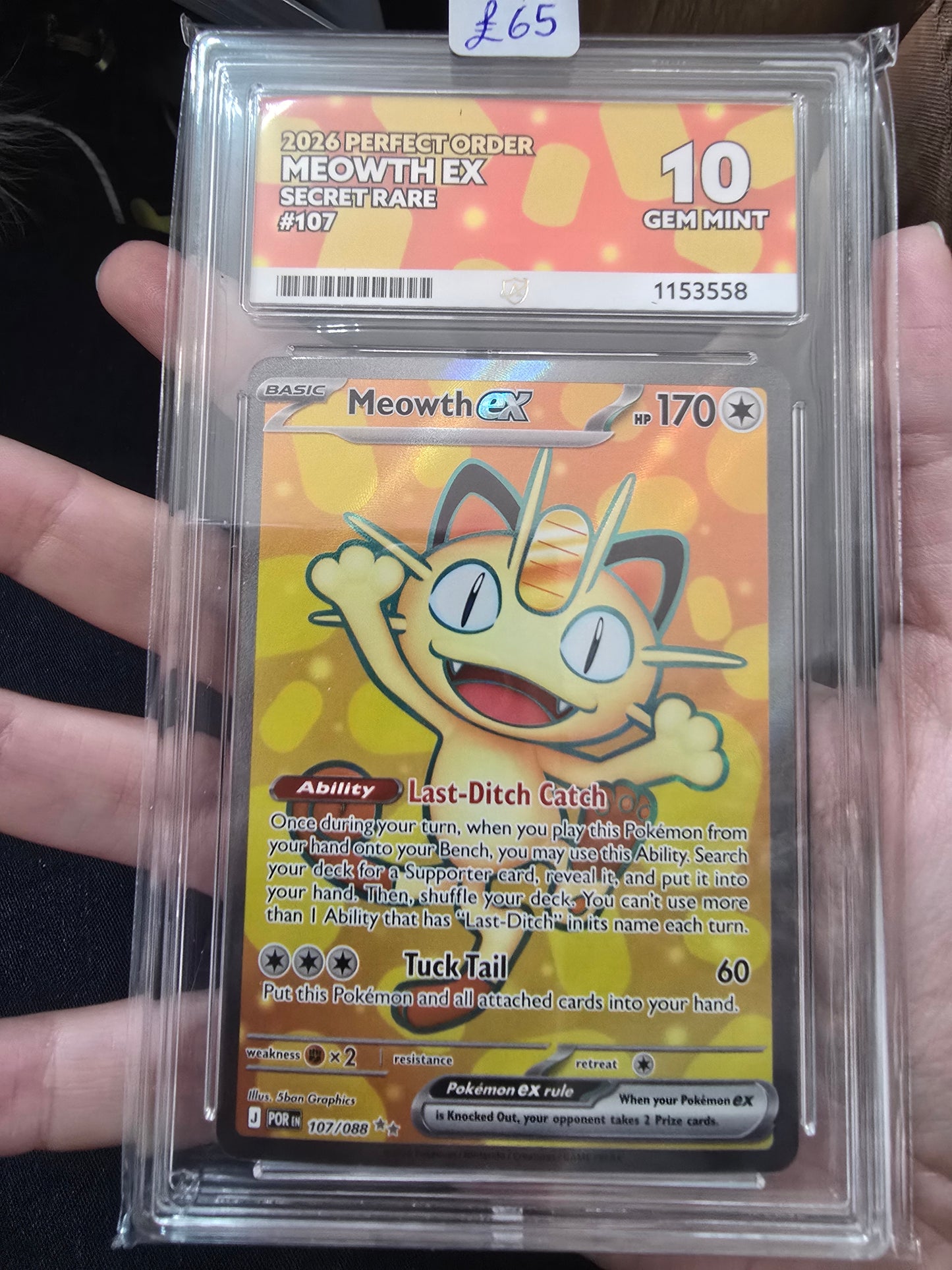 Meowth EX #107 10 GEM MINT - Pokémon ACE Graded Card
